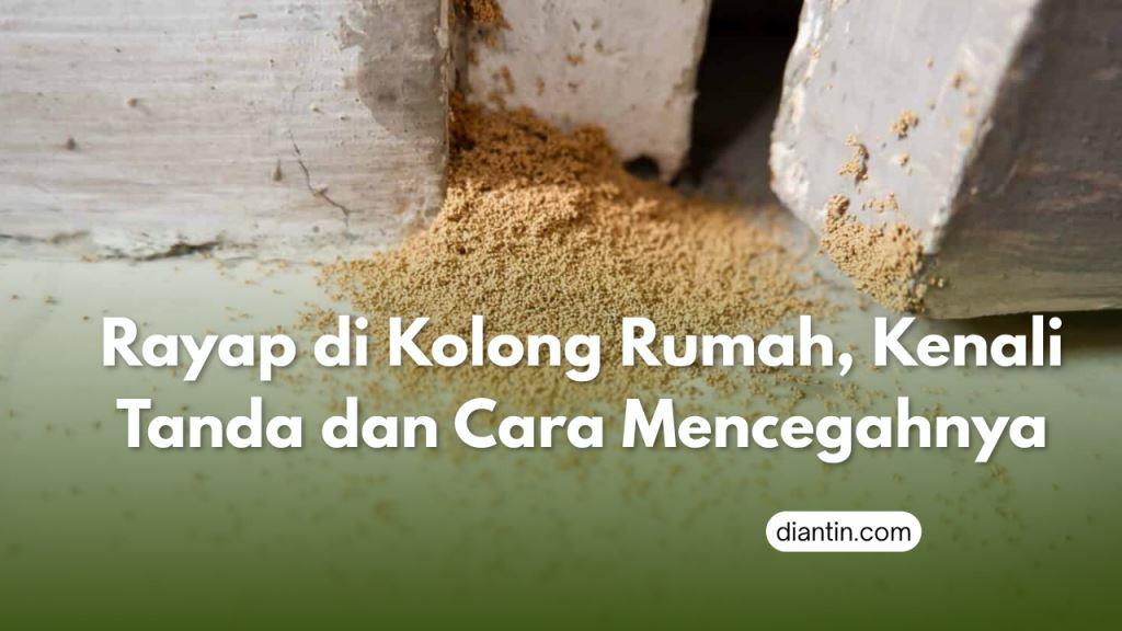 rayap di kolong rumah
